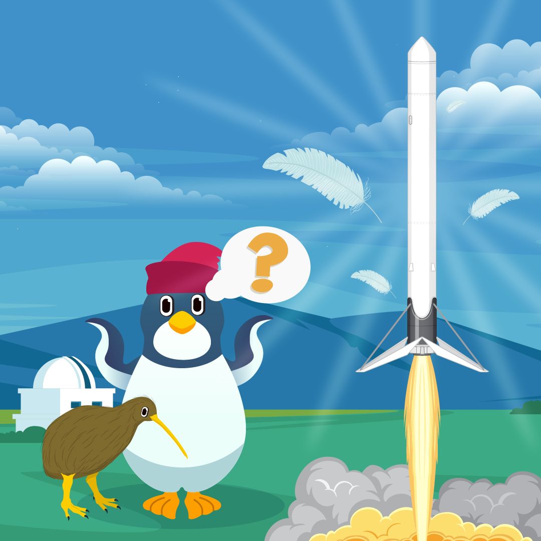 How does a rocket fly?